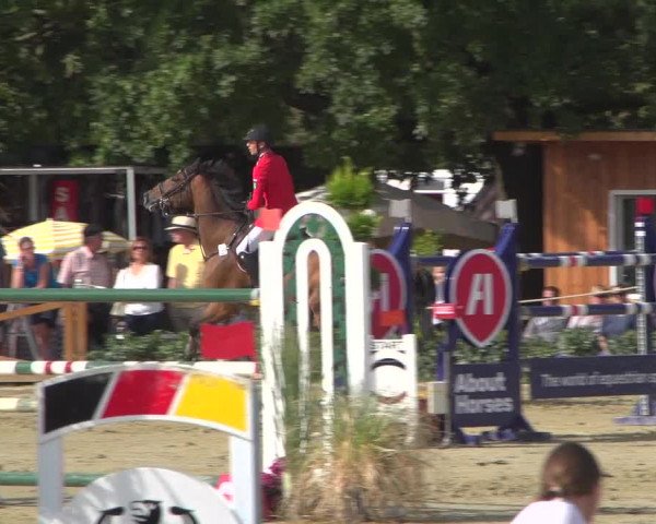 Reitturnier Köln - Reitanlage Brüse 2018