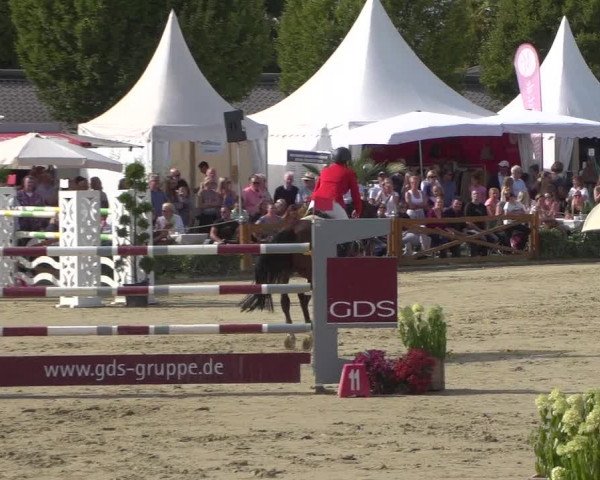 Reitturnier Köln - Reitanlage Brüse 2018