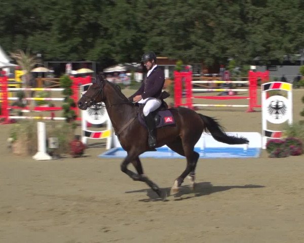 Reitturnier Köln - Reitanlage Brüse 2018