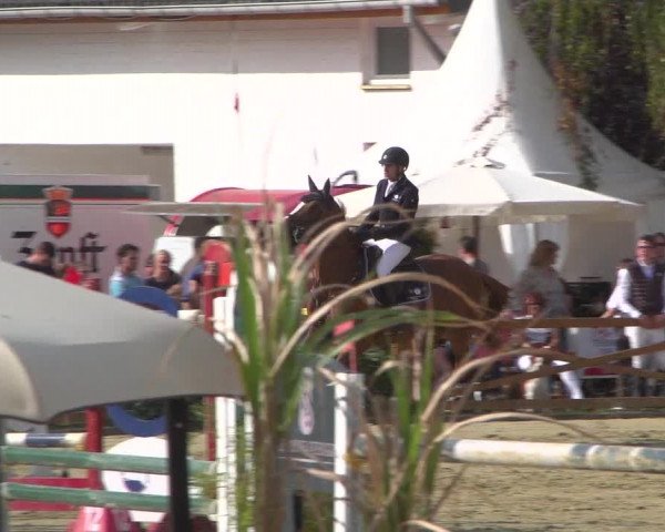 Reitturnier Köln - Reitanlage Brüse 2018