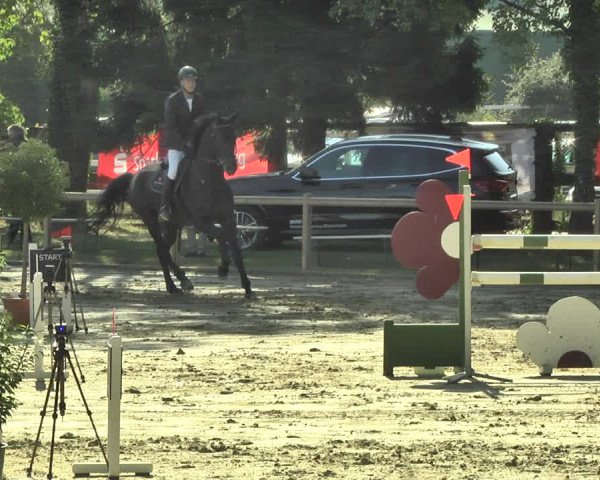 Reitturnier Walldorf/Winterheck 2018