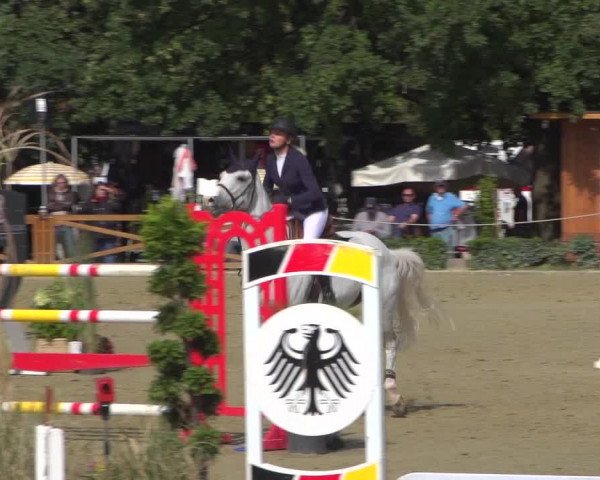 Reitturnier Köln - Reitanlage Brüse 2018