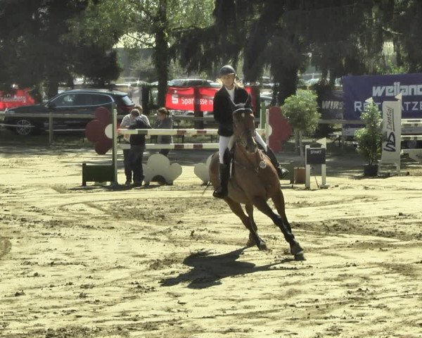 Reitturnier Walldorf/Winterheck 2018