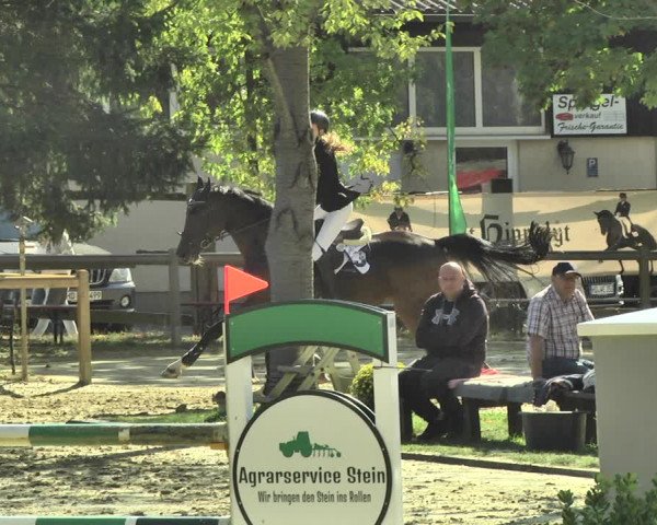 Reitturnier Walldorf/Winterheck 2018