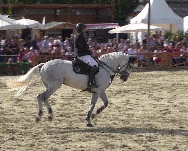 Reitturnier Köln - Reitanlage Brüse 2018