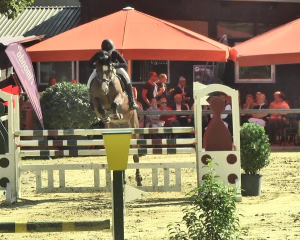 Reitturnier Walldorf/Winterheck 2018