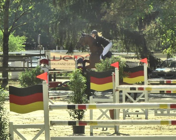Reitturnier Walldorf/Winterheck 2018