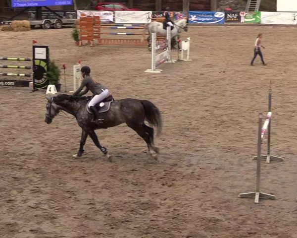 Reitturnier Siegen 2018
