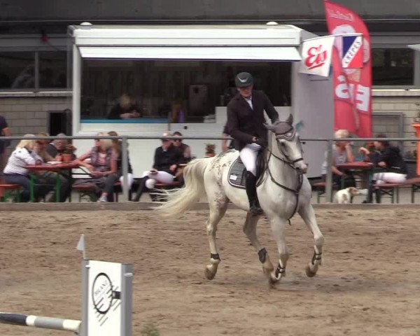 Reitturnier Siegen 2018