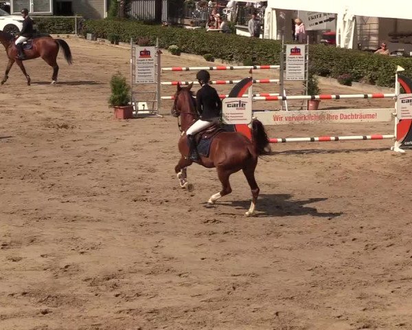 Reitturnier Siegen 2018