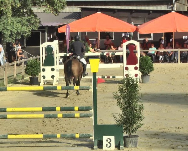Reitturnier Walldorf/Winterheck 2018
