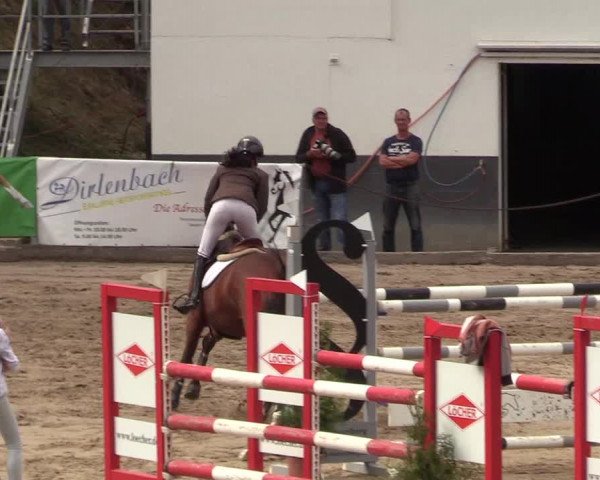 Reitturnier Siegen 2018