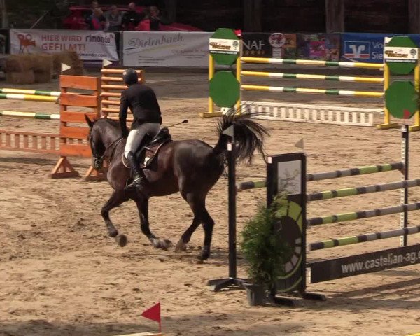 Reitturnier Siegen 2018