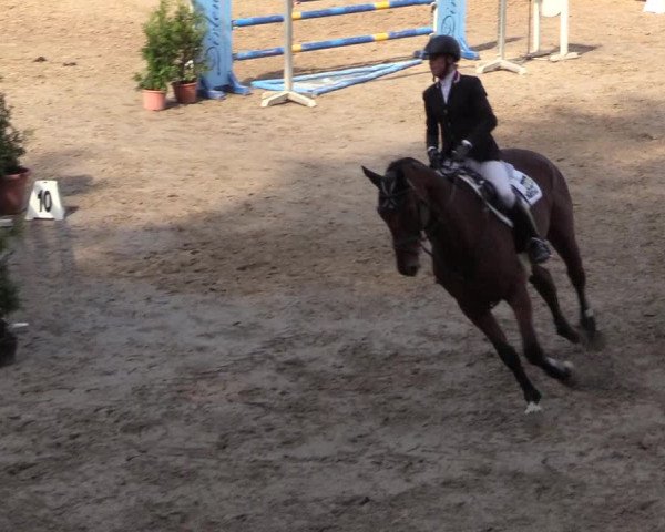 Reitturnier Siegen 2018