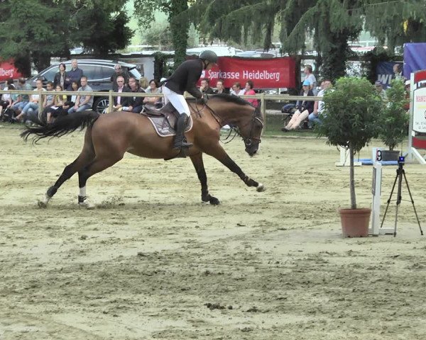 Reitturnier Walldorf/Winterheck 2018