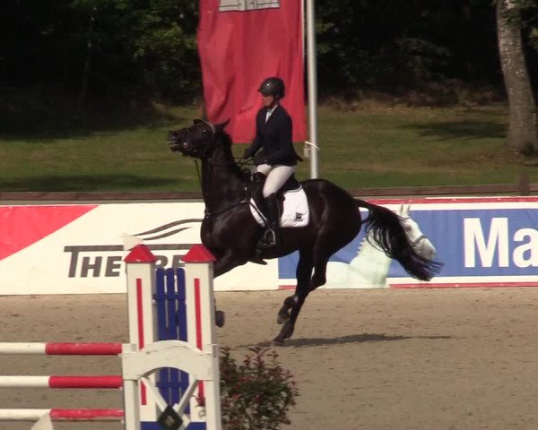 Reitturnier Westergellersen 2021