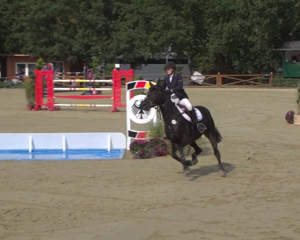 Reitturnier Köln - Reitanlage Brüse 2018