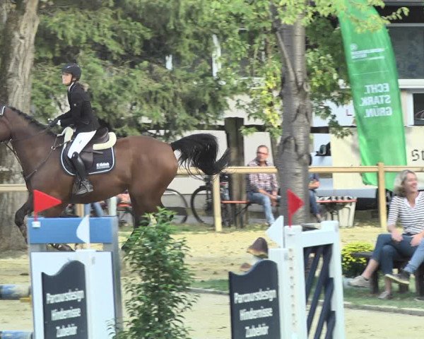 Reitturnier Walldorf/Winterheck 2018