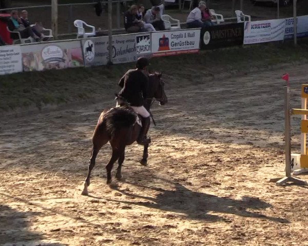 Reitturnier Siegen 2018