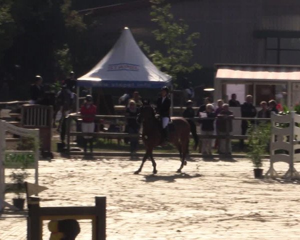 Reitturnier Albersloh 2018