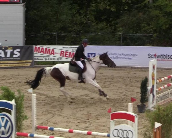 Reitturnier Buchenhof-Ibbenbüren 2018