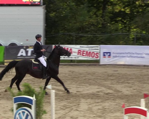 Reitturnier Buchenhof-Ibbenbüren 2018