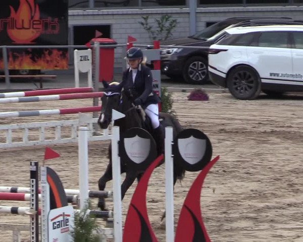 Reitturnier Siegen 2018