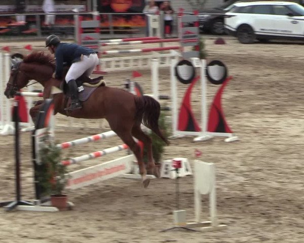 Reitturnier Siegen 2018