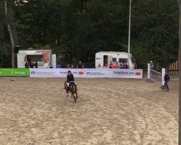 Reitturnier Buchenhof-Ibbenbüren 2018