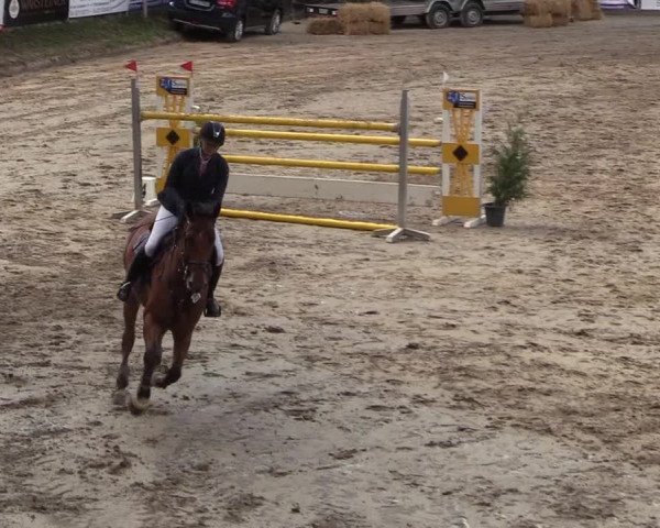 Reitturnier Siegen 2018