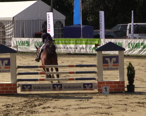 Reitturnier Albersloh 2018