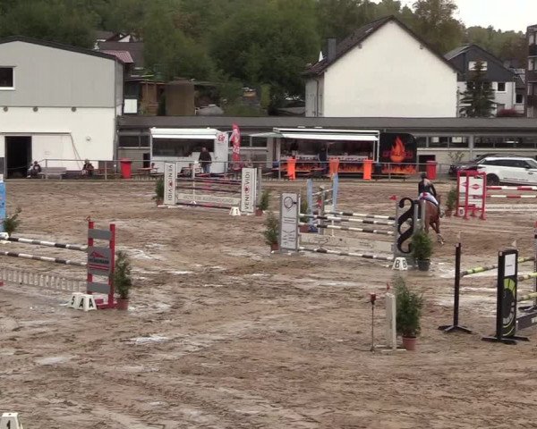 Reitturnier Siegen 2018