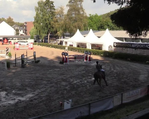 Reitturnier Siegen 2018