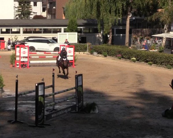 Reitturnier Siegen 2018