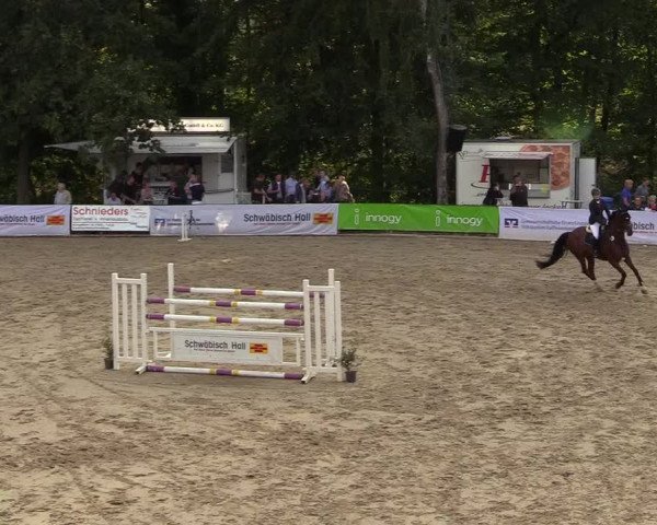 Reitturnier Buchenhof-Ibbenbüren 2018