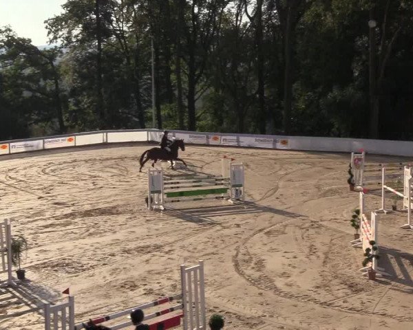 Reitturnier Buchenhof-Ibbenbüren 2018