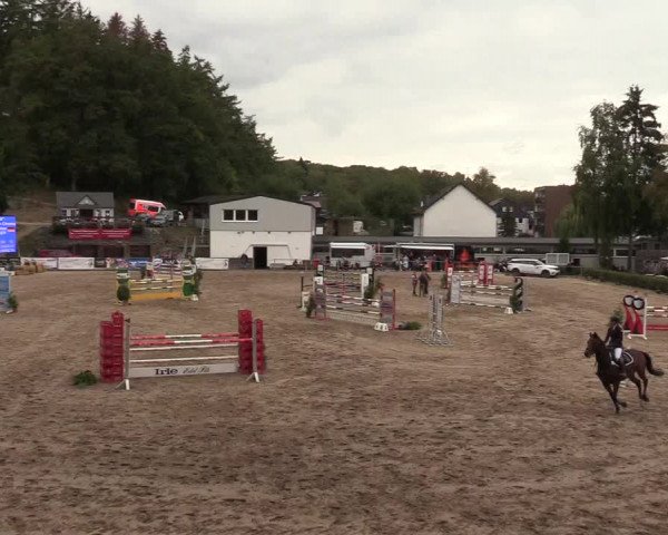 Reitturnier Siegen 2018