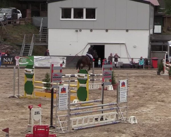 Reitturnier Siegen 2018