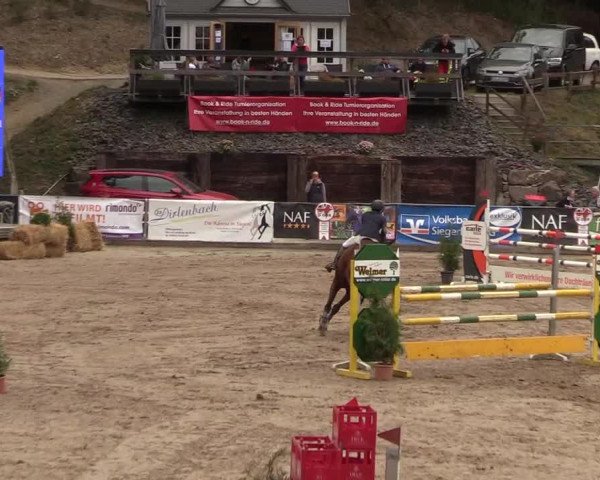Reitturnier Siegen 2018