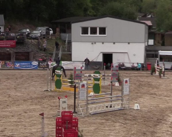 Reitturnier Siegen 2018