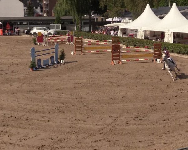 Reitturnier Siegen 2018