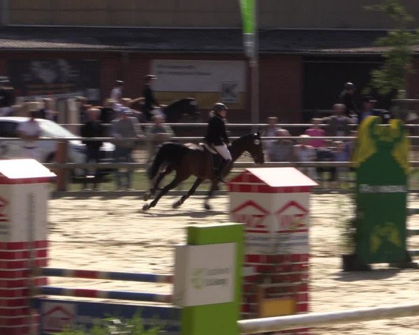 Reitturnier Albersloh 2018