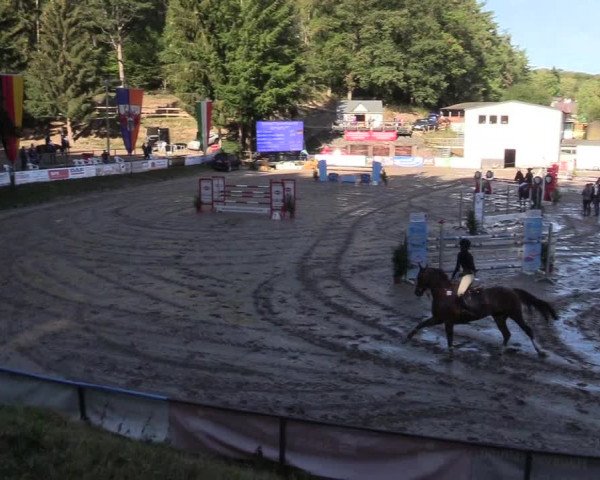 Reitturnier Siegen 2018