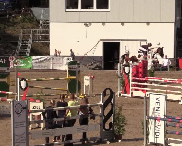 Reitturnier Siegen 2018