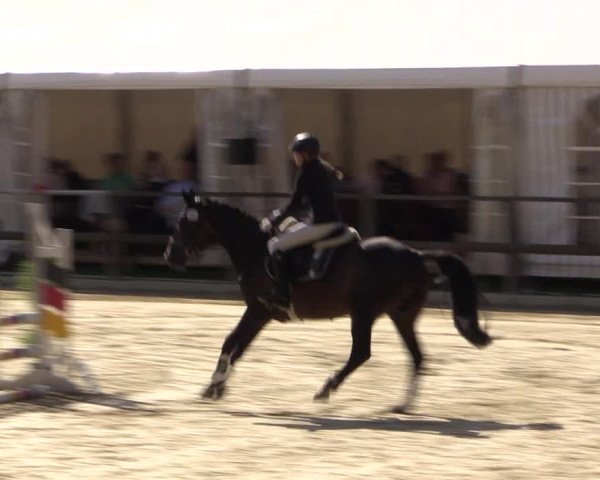 Reitturnier Albersloh 2018