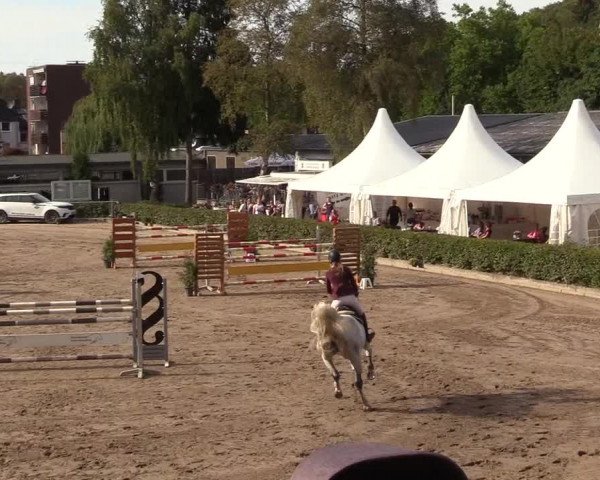 Reitturnier Siegen 2018