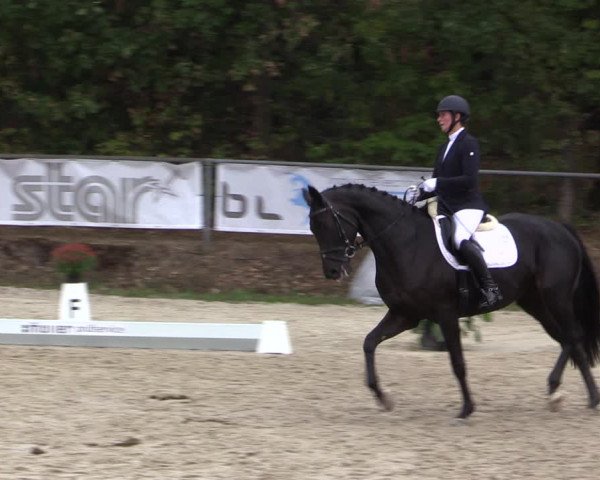 Reitturnier Meinerzhagen 2018