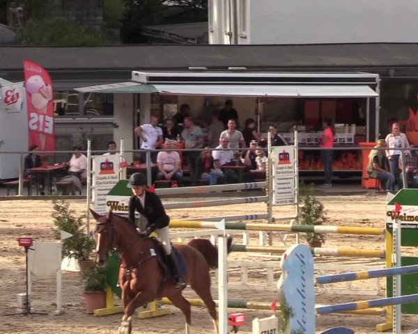 Reitturnier Siegen 2018