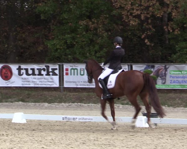 Reitturnier Meinerzhagen 2018