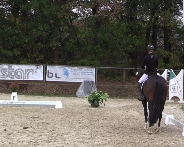Reitturnier Meinerzhagen 2018